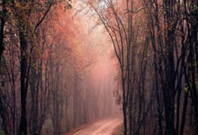 擒敌锋！巴萨客场连平，领先一步