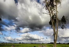 擒敌锋！巴萨客场连平，领先一步