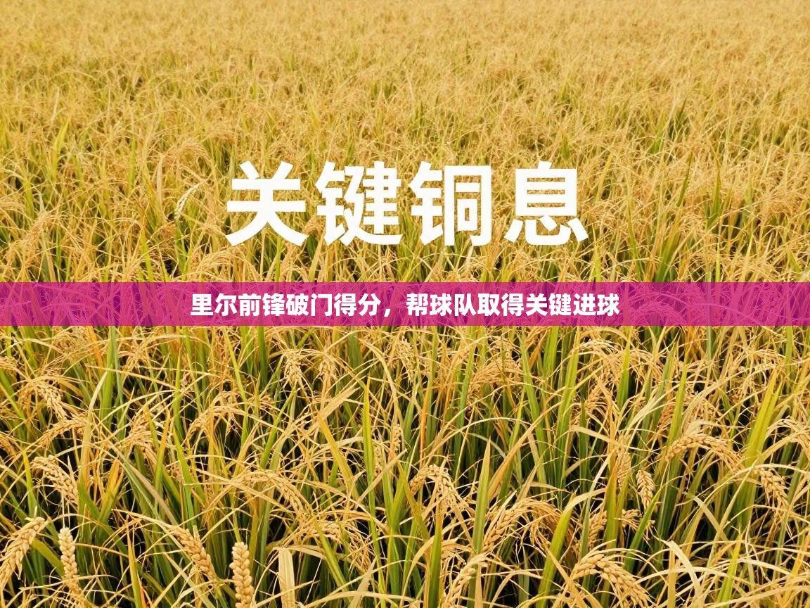 里尔前锋破门得分，帮球队取得关键进球  第2张