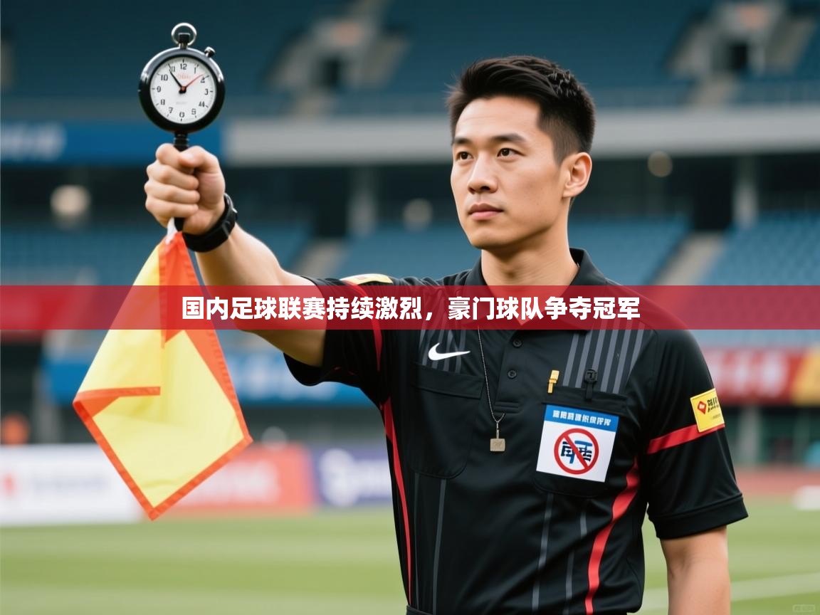 国内足球联赛持续激烈,豪门球队争夺冠军 第2张